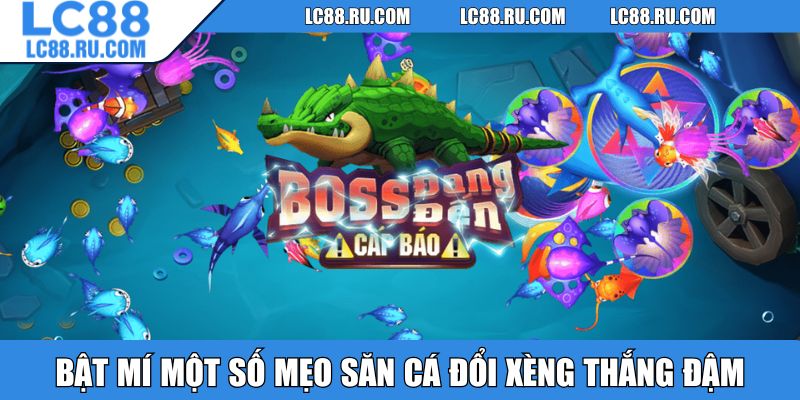 Bật mí một số mẹo săn cá đổi xèng thắng đậm