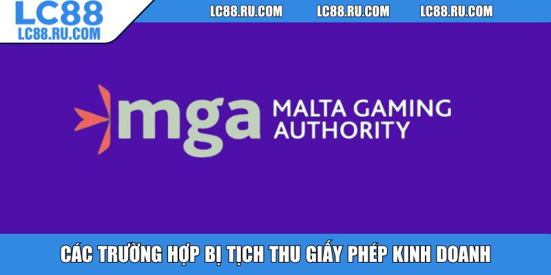 Các trường hợp bị tịch thu giấy phép kinh doanh