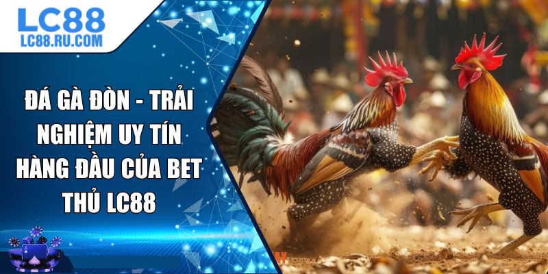 Đá Gà Đòn - Trải Nghiệm Uy Tín Hàng Đầu Của Bet Thủ LC88
