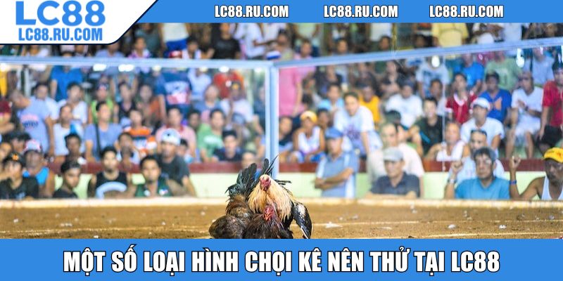 Một số loại hình chọi kê nên thử tại LC88
