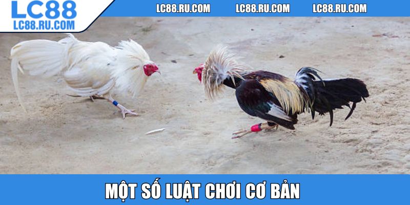 Một số luật chơi cơ bản