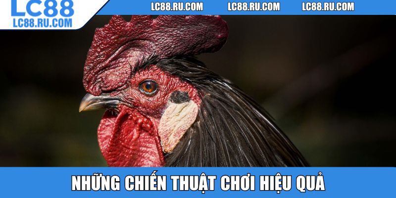 Chiến thuật chơi hiệu quả