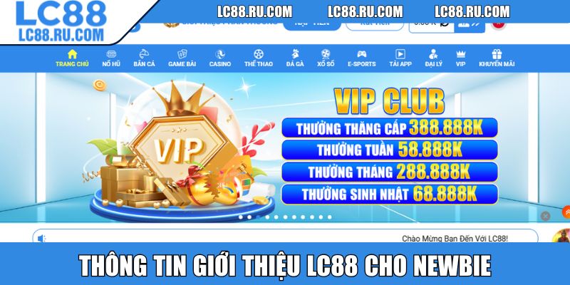 Thông tin giới thiệu LC88 cho newbie